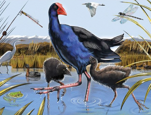 Treasures of Aotearoa 96pc Frame Tray Jigsaw Puzzle - Pukeko Waders