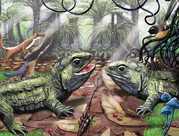 Treasures of Aotearoa 96pc Frame Tray Jigsaw Puzzle - Tuatara Twosome