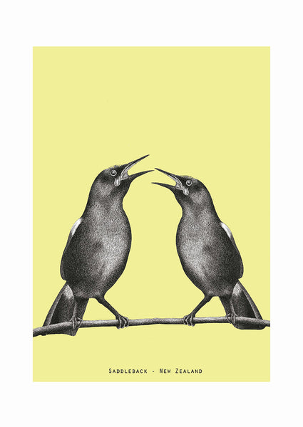 Saddleback - Limited edition A4 Print
