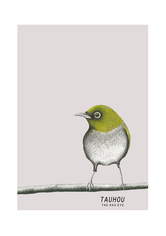 Tauhou / Wax-eye - Limited Edition A4 Print