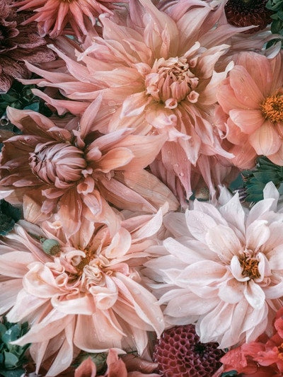 Inspiration Greeting Card