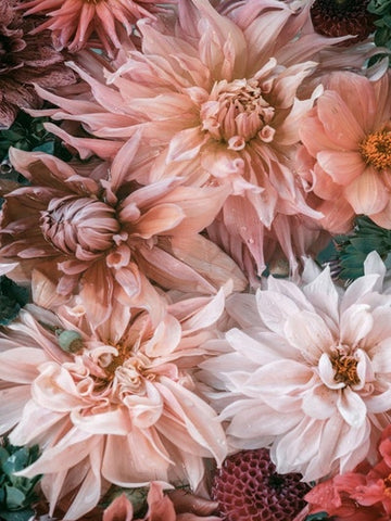 Inspiration Greeting Card
